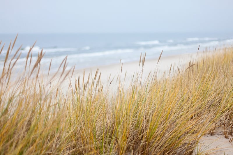 Coastal Bliss