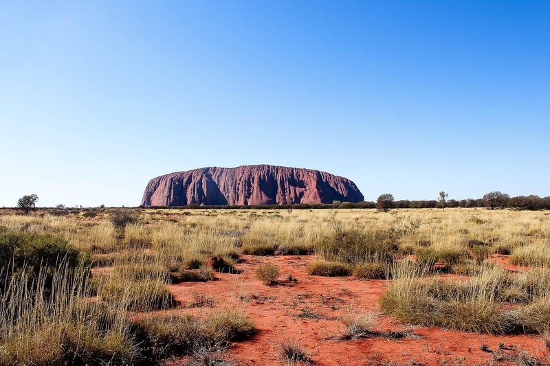 Indigenous Art